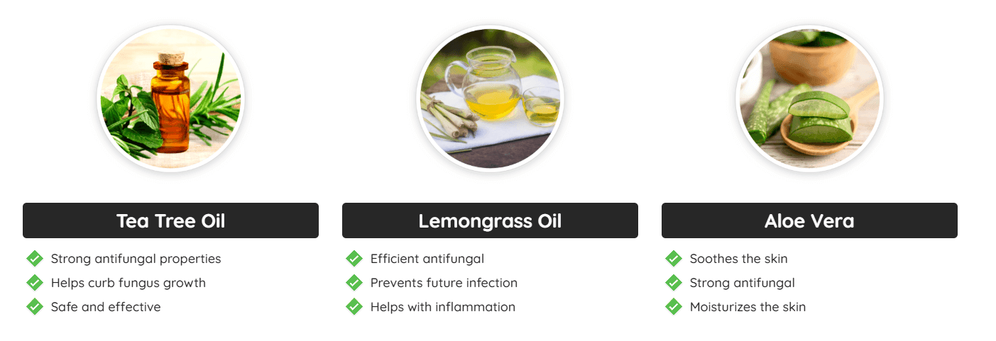 prodentim ingredient